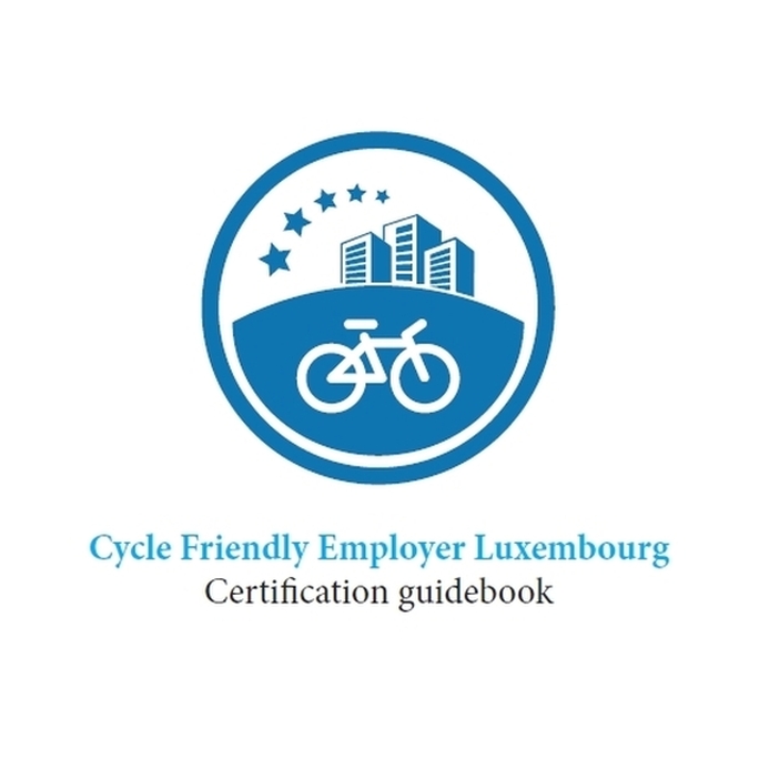 What are the CFE certification criteria?